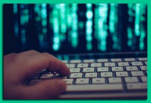 Website designer Toms River, hand poised over keyboard with green graphic on screen